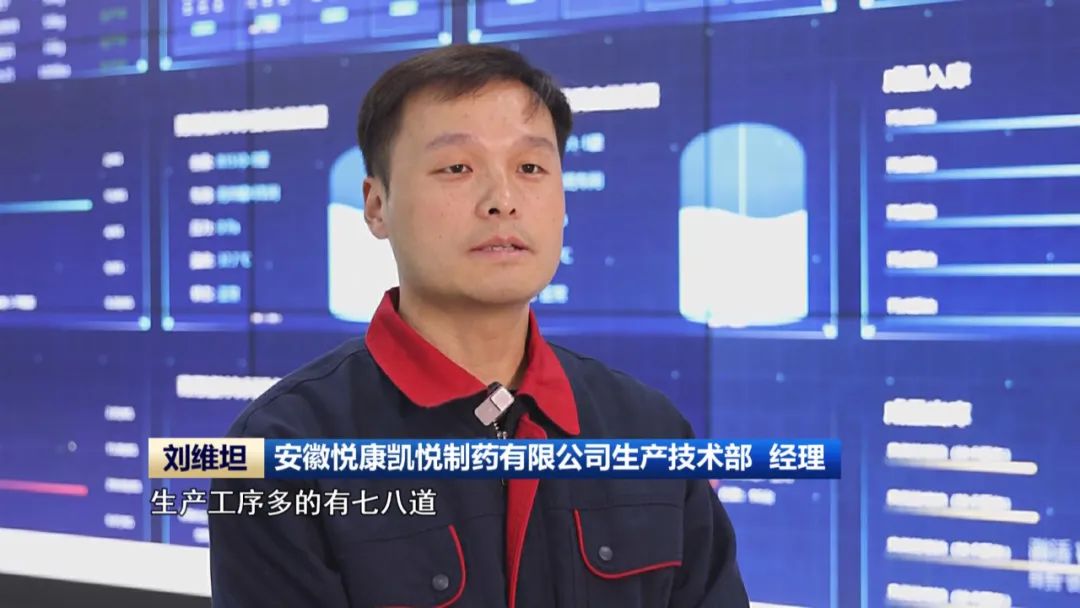 【数字化转型·安徽时刻】数智化点燃产业转型升级新引擎(图8)