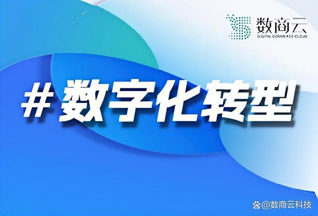 数字化转型案例分析：中小企业如何实现产业升级｜数商云