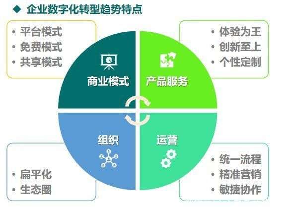 2025年数字化转型浪潮来临企业如何抓住机遇实现突破？
