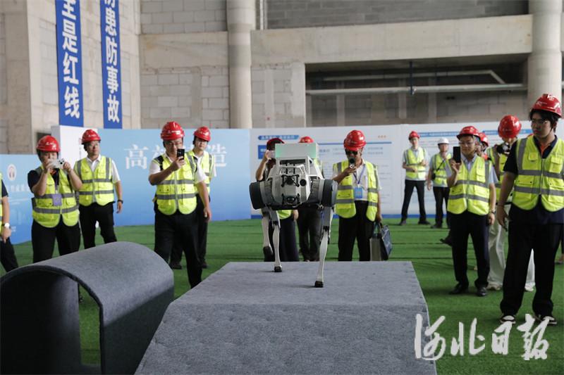 2025年数字化转型成果交流观摩大会在唐山举办
