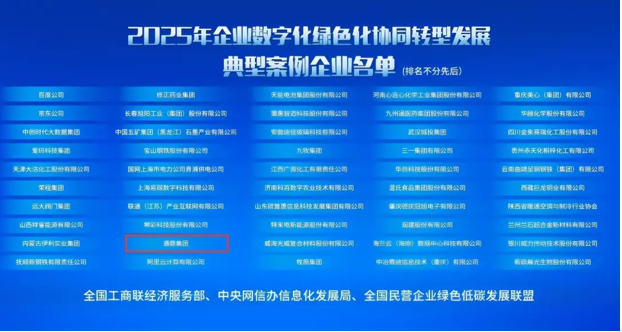 双化协同领跑者！通鼎集团成功入选国家级“2025数字化绿色化协同转型发展典型案例”！_通信世界网(图2)