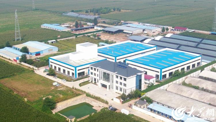 生态筑基 科技赋能：潍坊稷丰智慧农业的循环发展之路(图2)