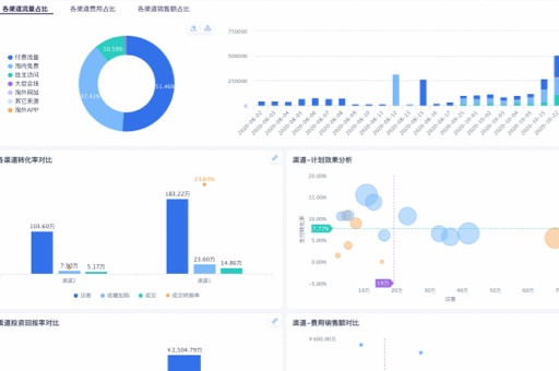 DLMM数字化转型成熟度模型的评价域解析