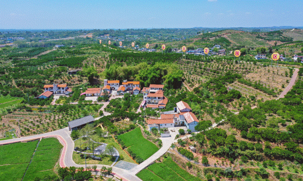 四川青神：构建新型农业经营体系 激活柑橘产业发展动能