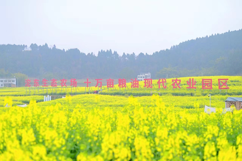 徽州西溪南生态农场：创教育与乡村产业融合共振新模式