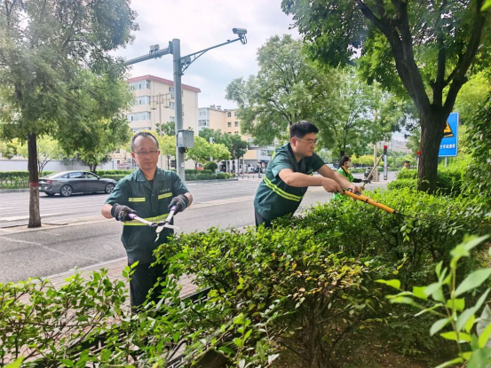 提质增绿大同市平城区擦亮城市生态底色